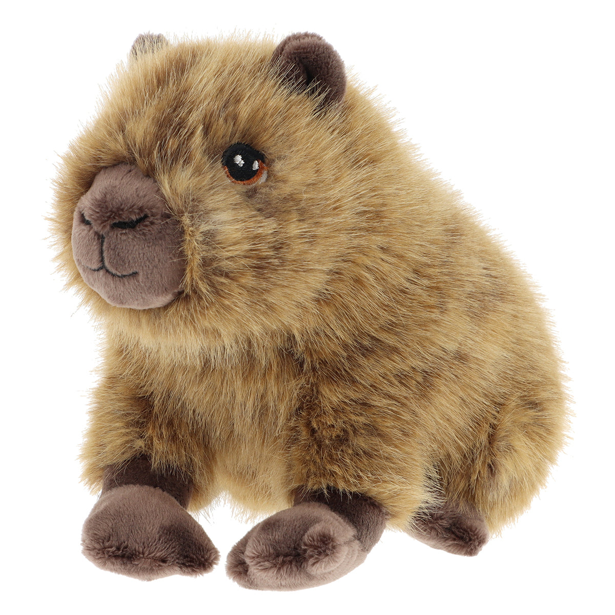 KeelToys Keeleco ぬいぐるみ カピバラ/18cm